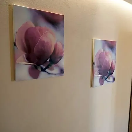 Scorci Di Mare Hotel Manarola